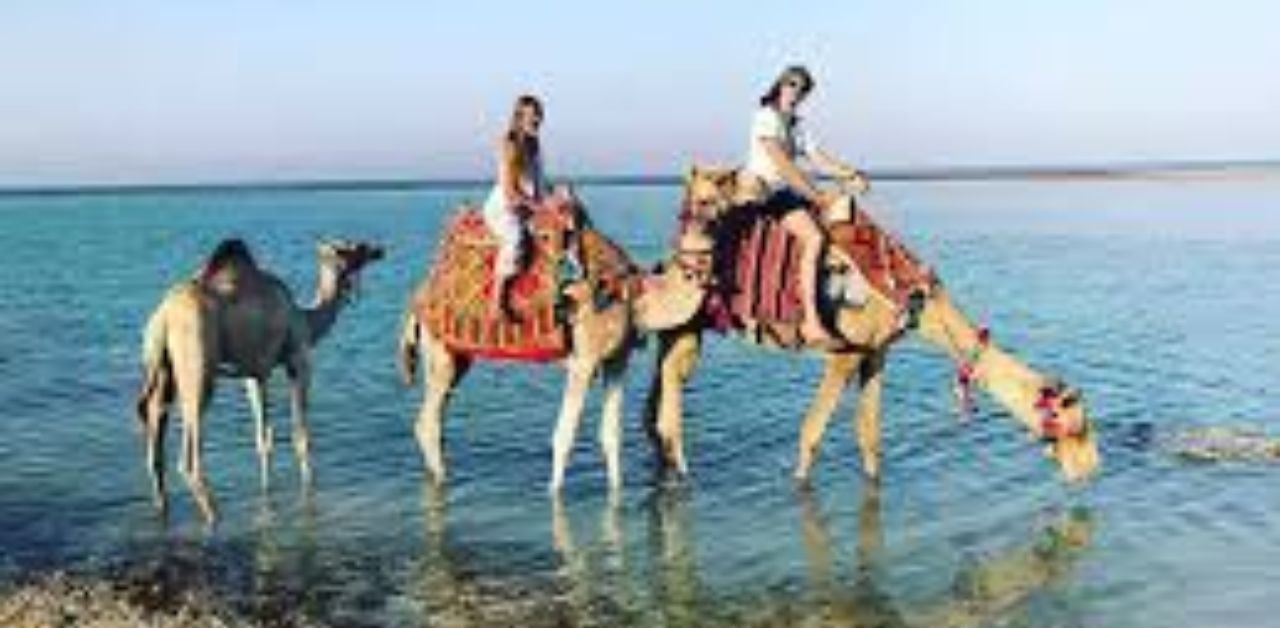 EasyJet Marsa Alam Office in Egypt