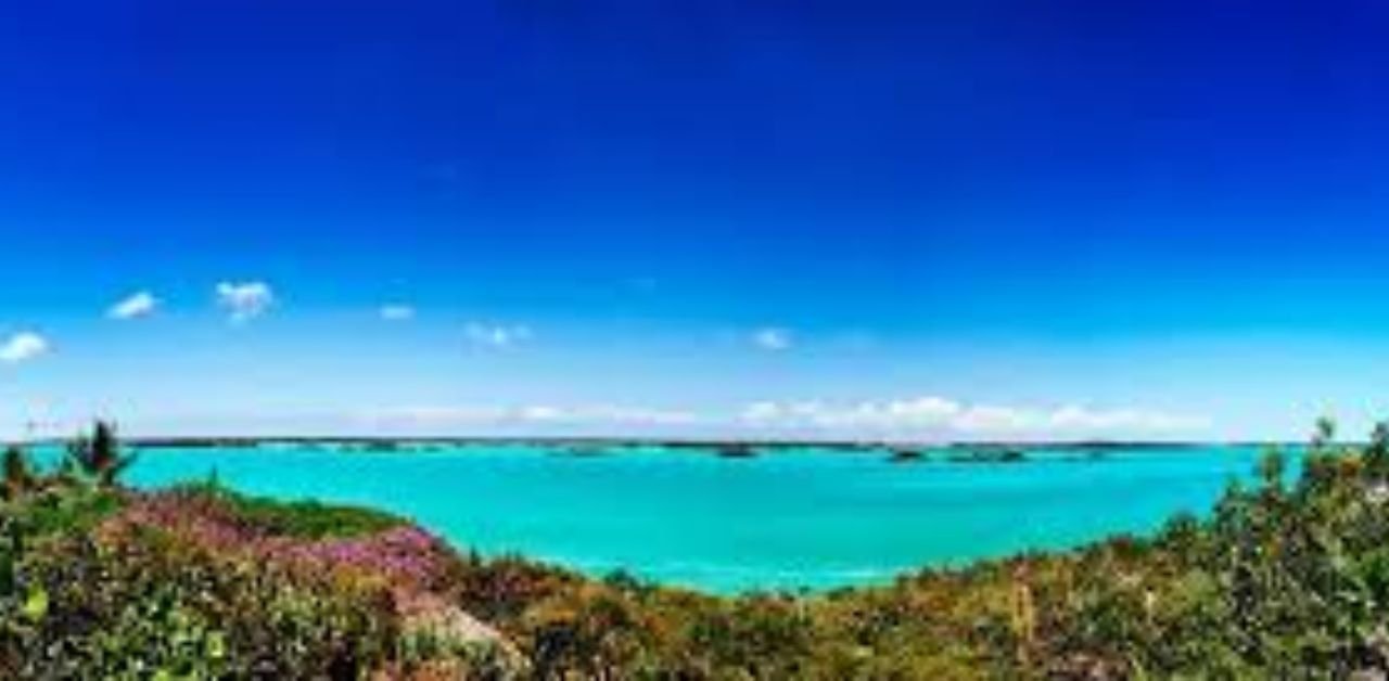 Spirit Airlines Providenciales Office in Turks and Caicos